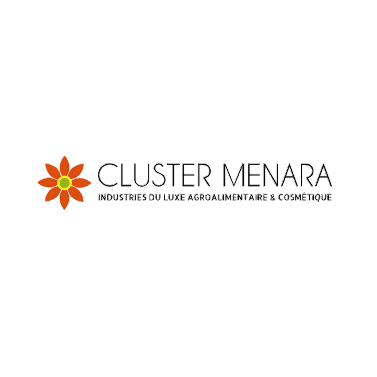 Cluster Menara Start-up.ma