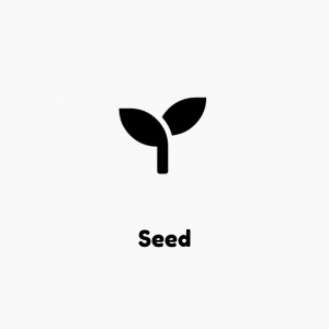 type de financement : seed