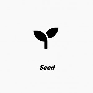 type de financement : seed