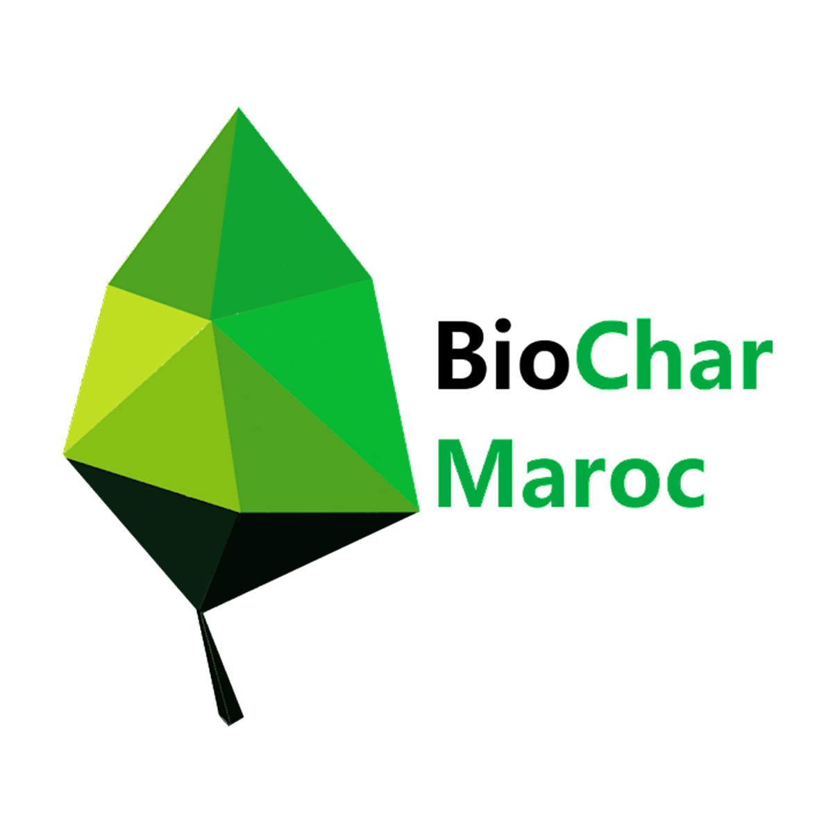 BioChar Maroc