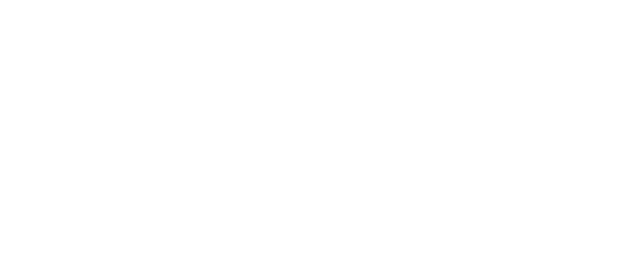 Kwiks