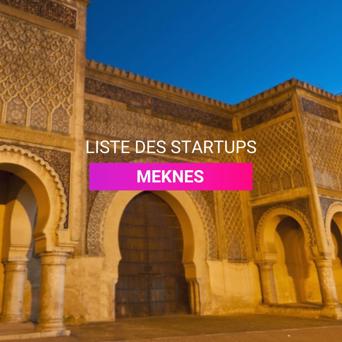Liste des Startups à Meknès Liste des l Start-Up.ma