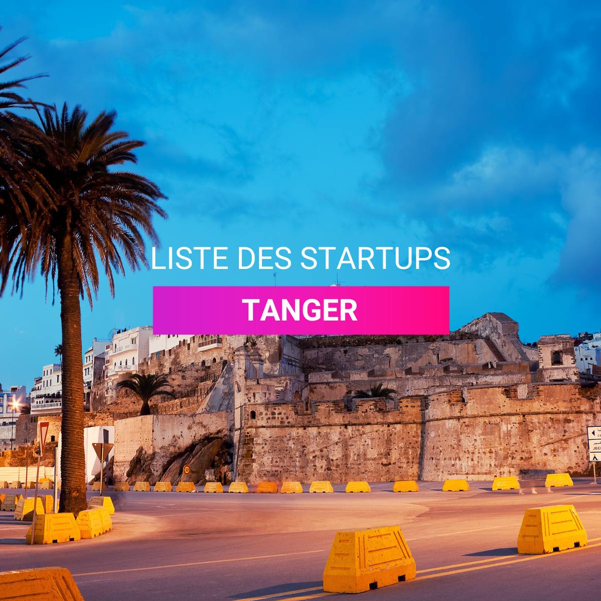 Liste des Startups à Tanger l Start-up.ma