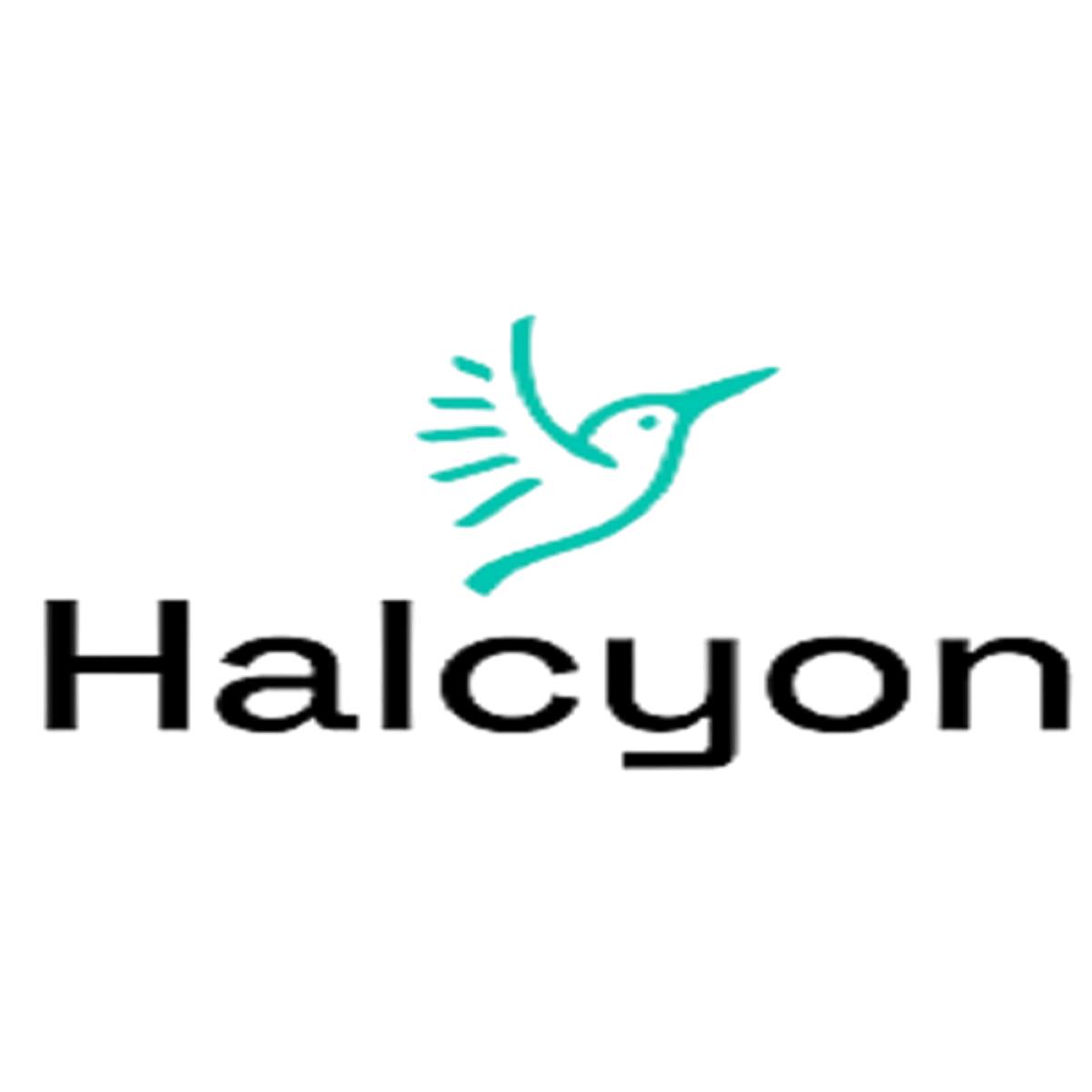 Appel à candidatures – Halcyon EquityTech Fellowship 2026 l Start-up.ma